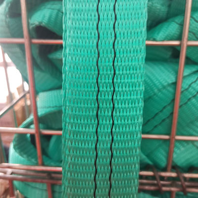 주문 300 밀리미터 폭 12t 폴리에스테르 가죽 끈 명부 평탄 패턴 online manufacture